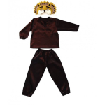 Costum carnaval copii arici
