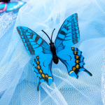 Costum carnaval fete Cenusareasa cu fluturi